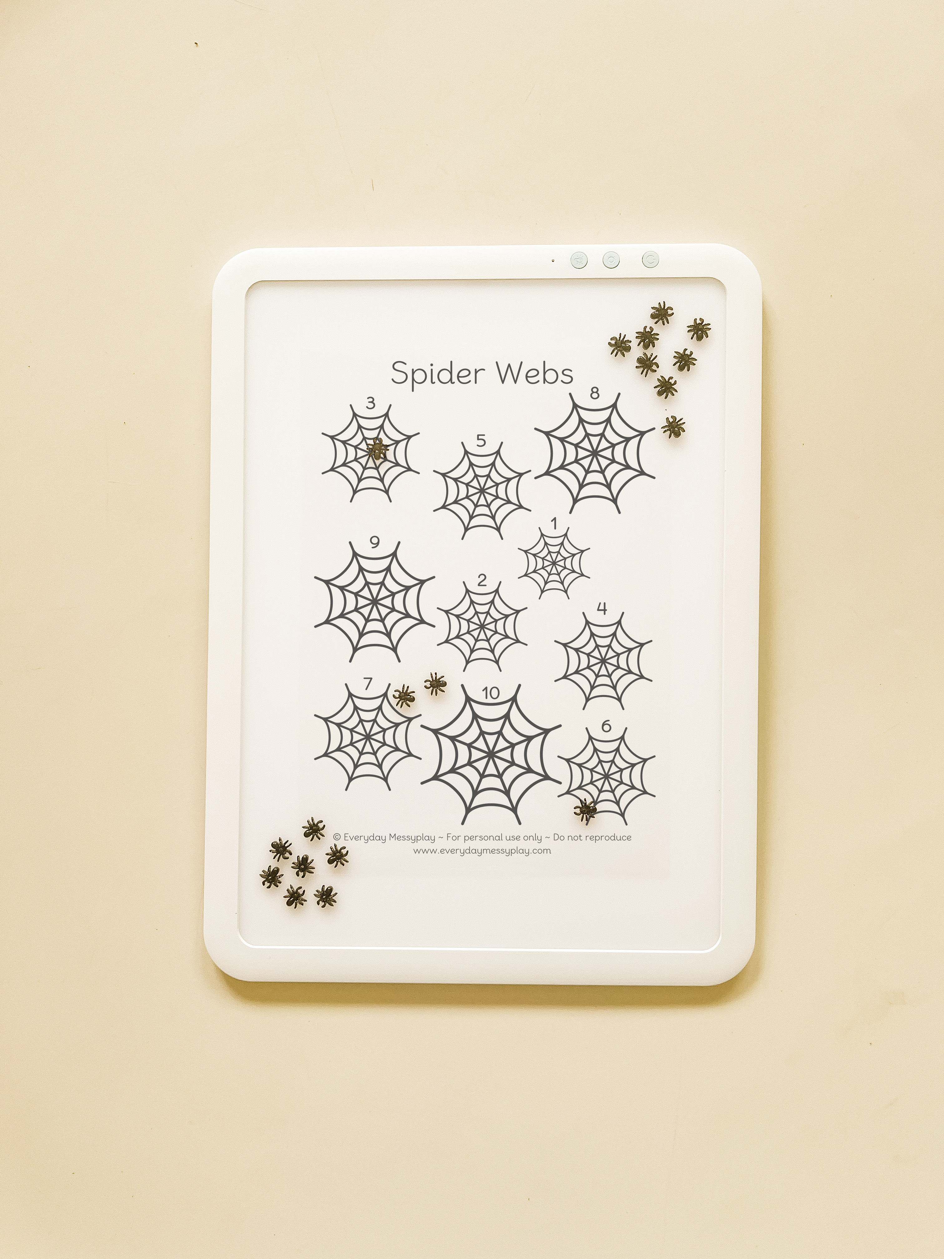 Spider Webs Lightbox Sheet