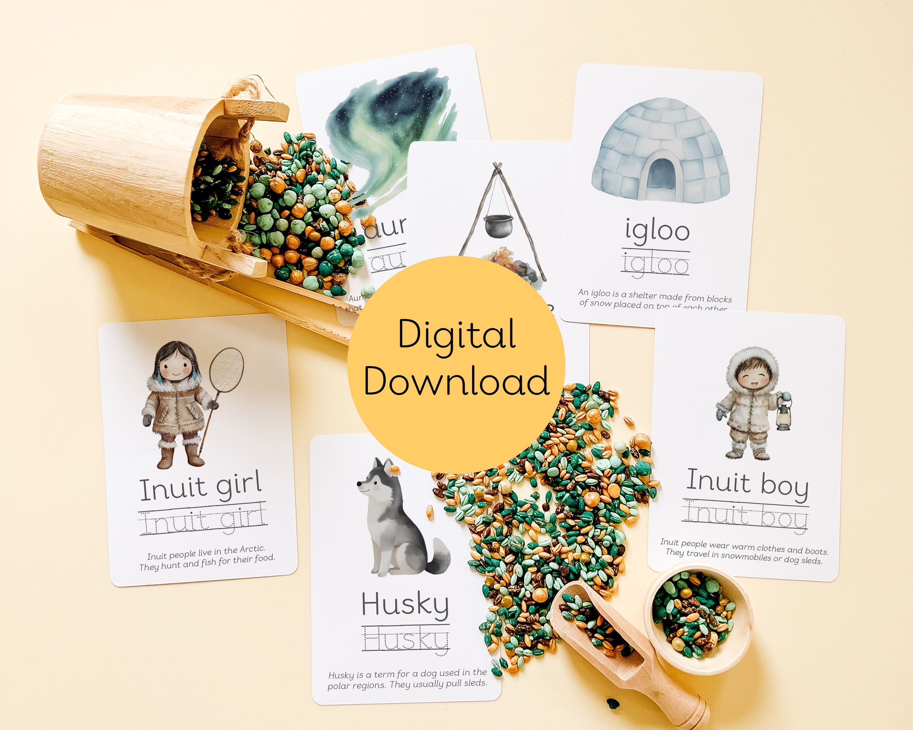 Polar Explorers Flashcards - Digital Download