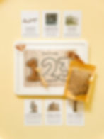 Owl Babies Light Box Kit