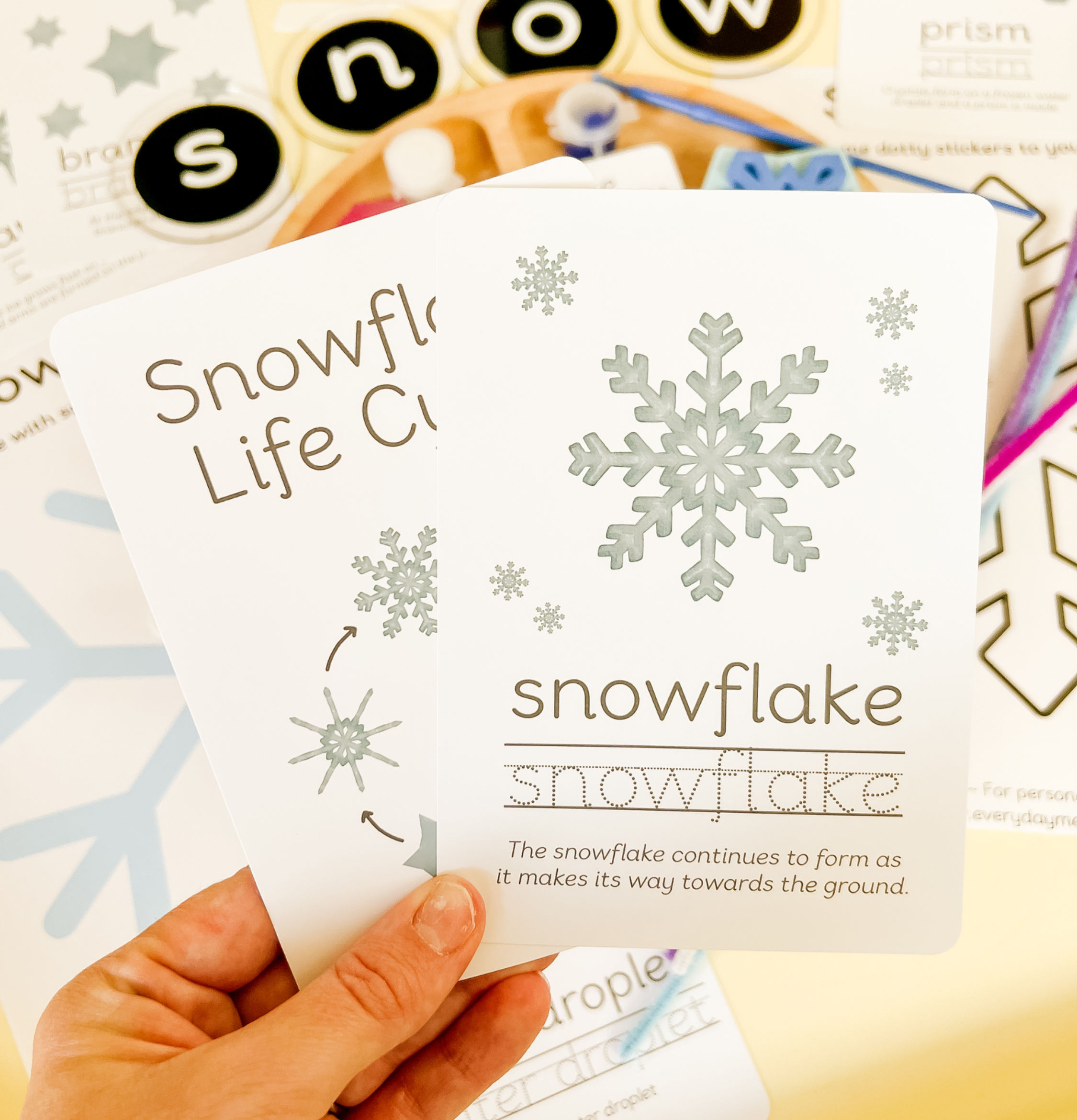 Snowflake Life Cycle Flashcards