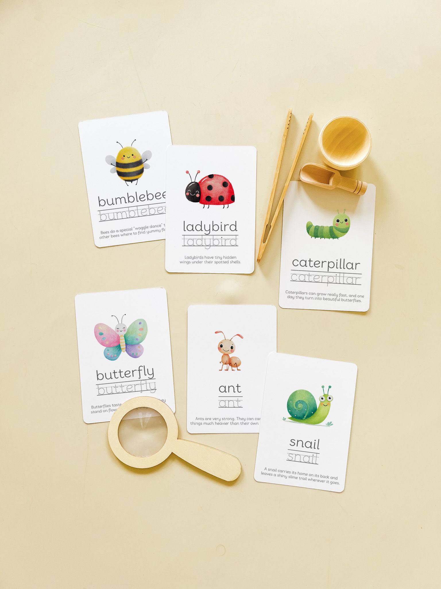 Snuggle Bugs - Set of 6 Flashcards