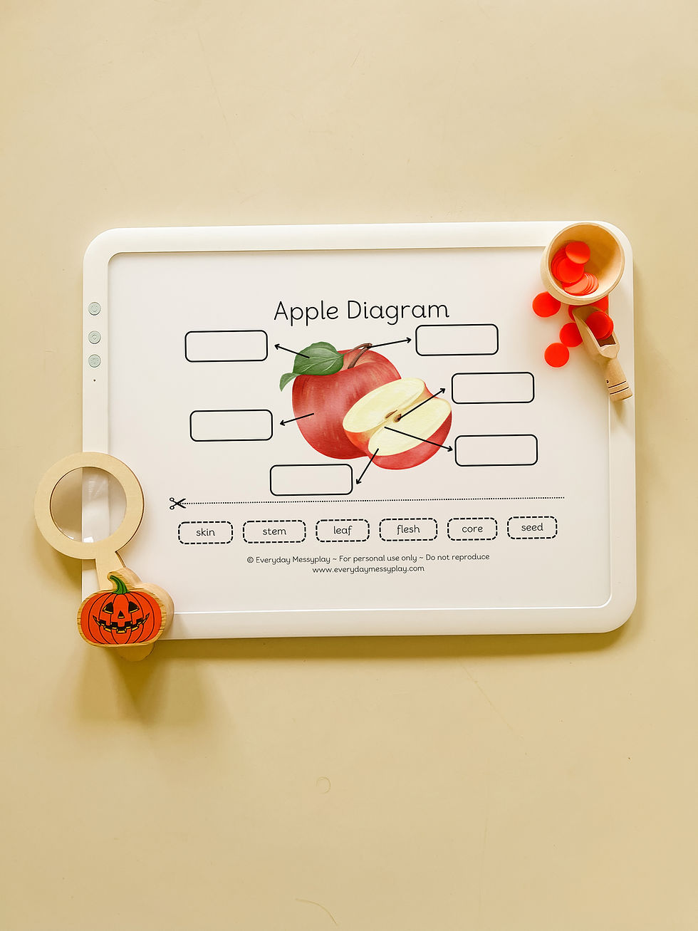 Thumbnail: Apple Lightbox Kit