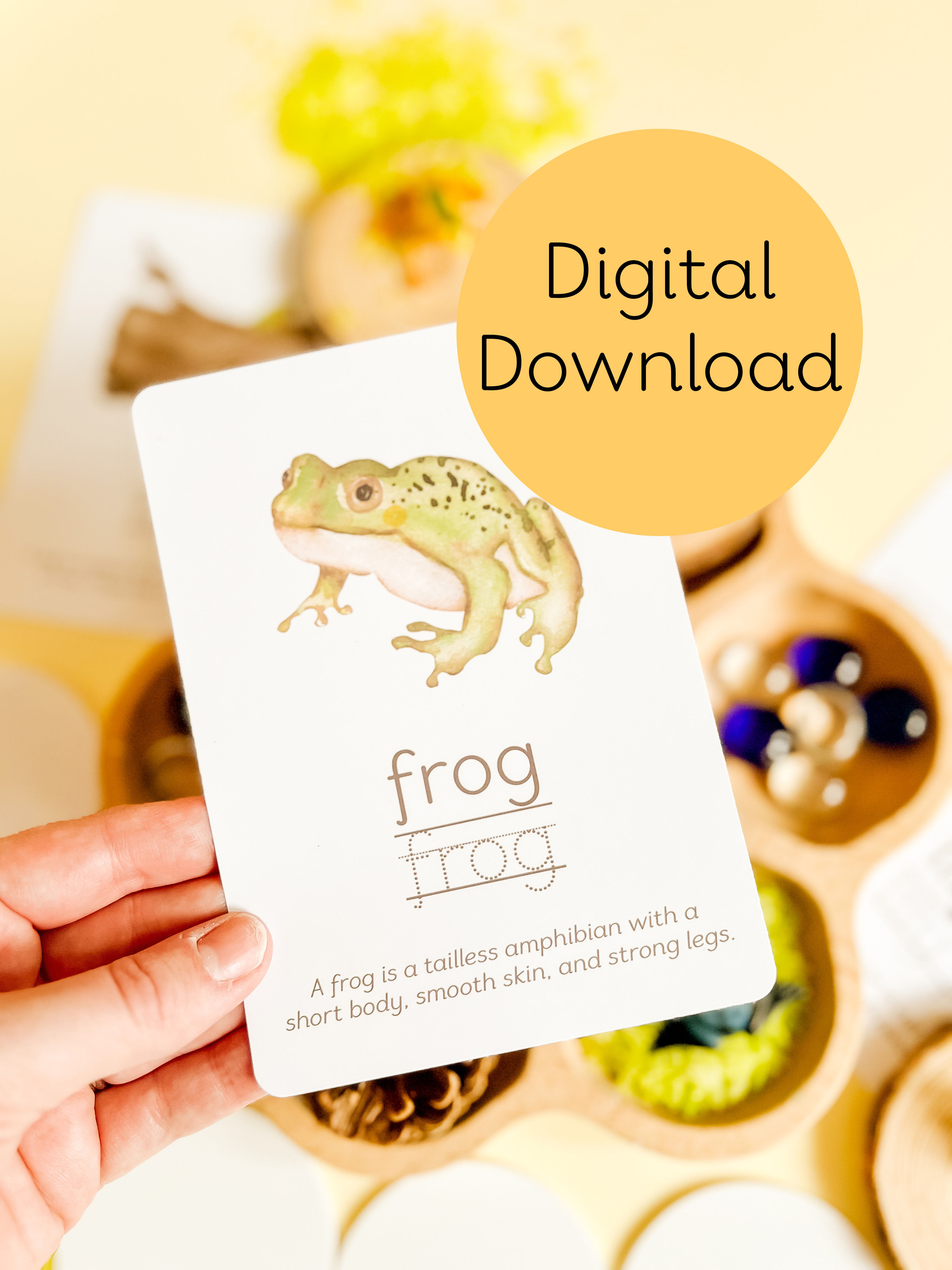 Frog Pond - Digital Download