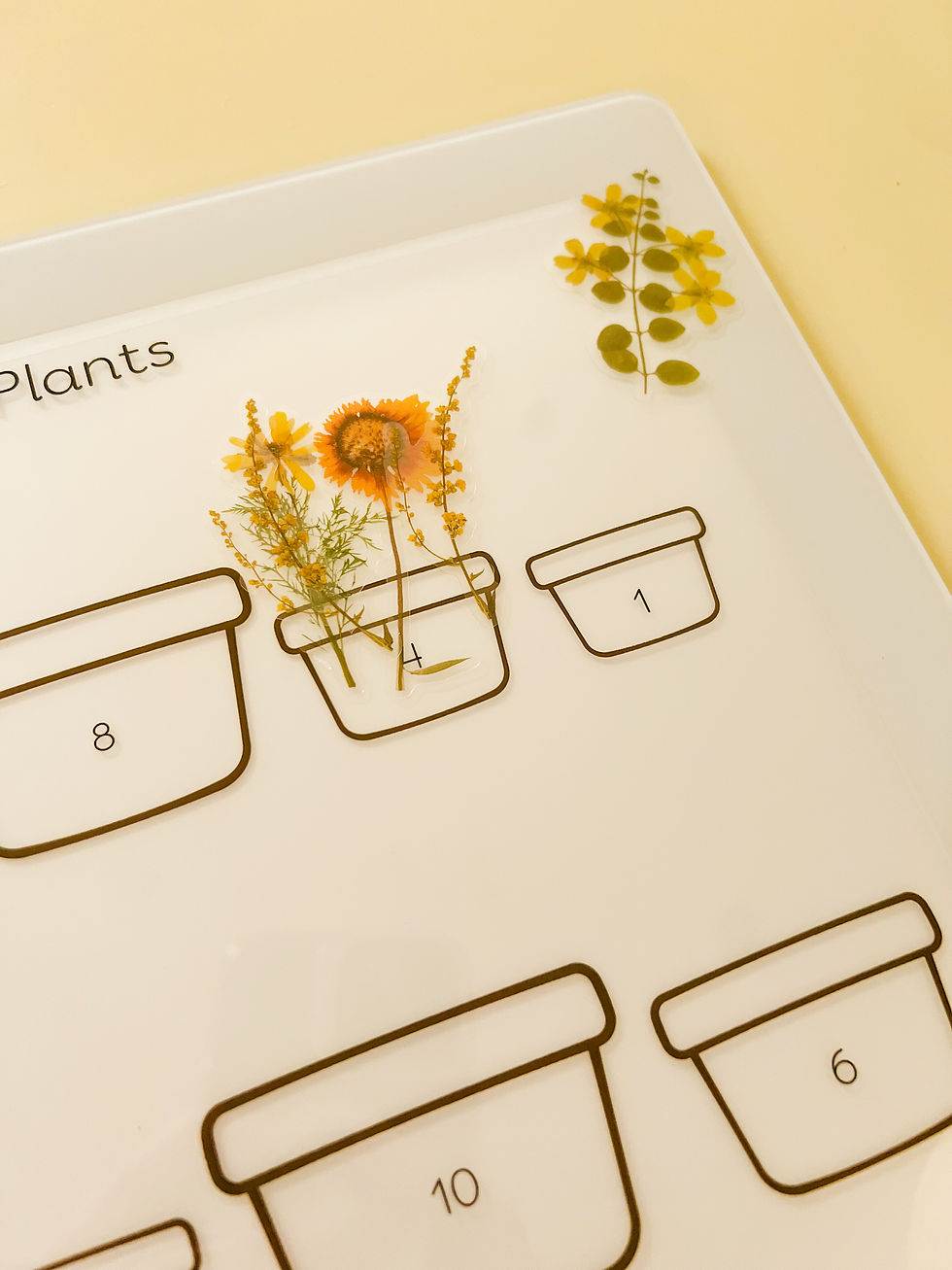 Thumbnail: Grow the Plants Light Box Sheet