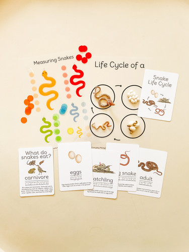 Tuesday Snakes Python Tenner Tuesday - Snake Bundle | Everyday Messyplay