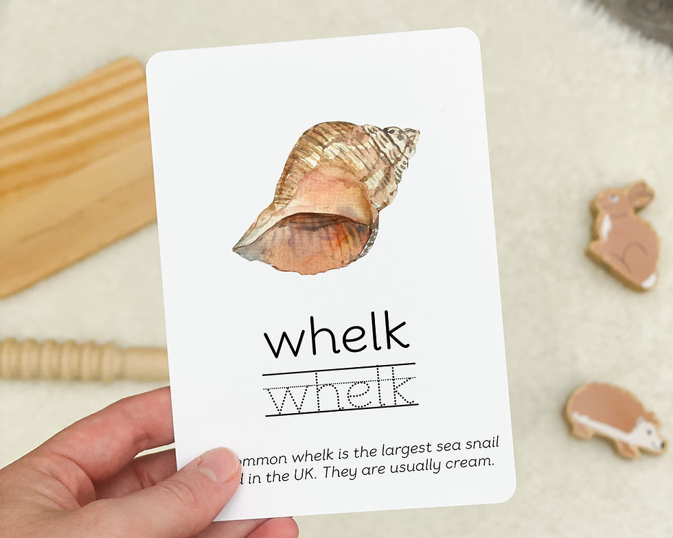 Thumbnail: Shells Flashcards