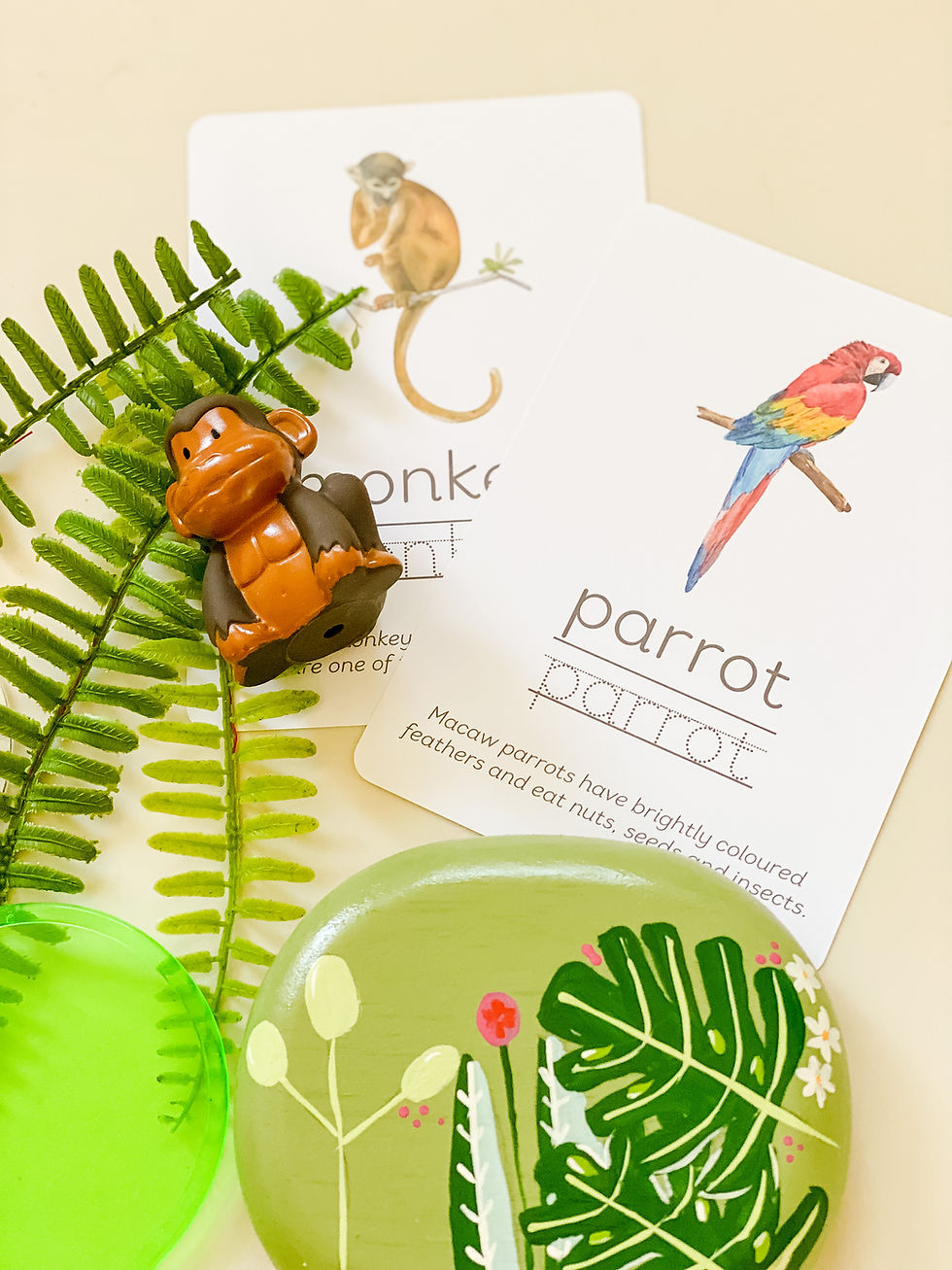 Thumbnail: Rainforest Flashcards
