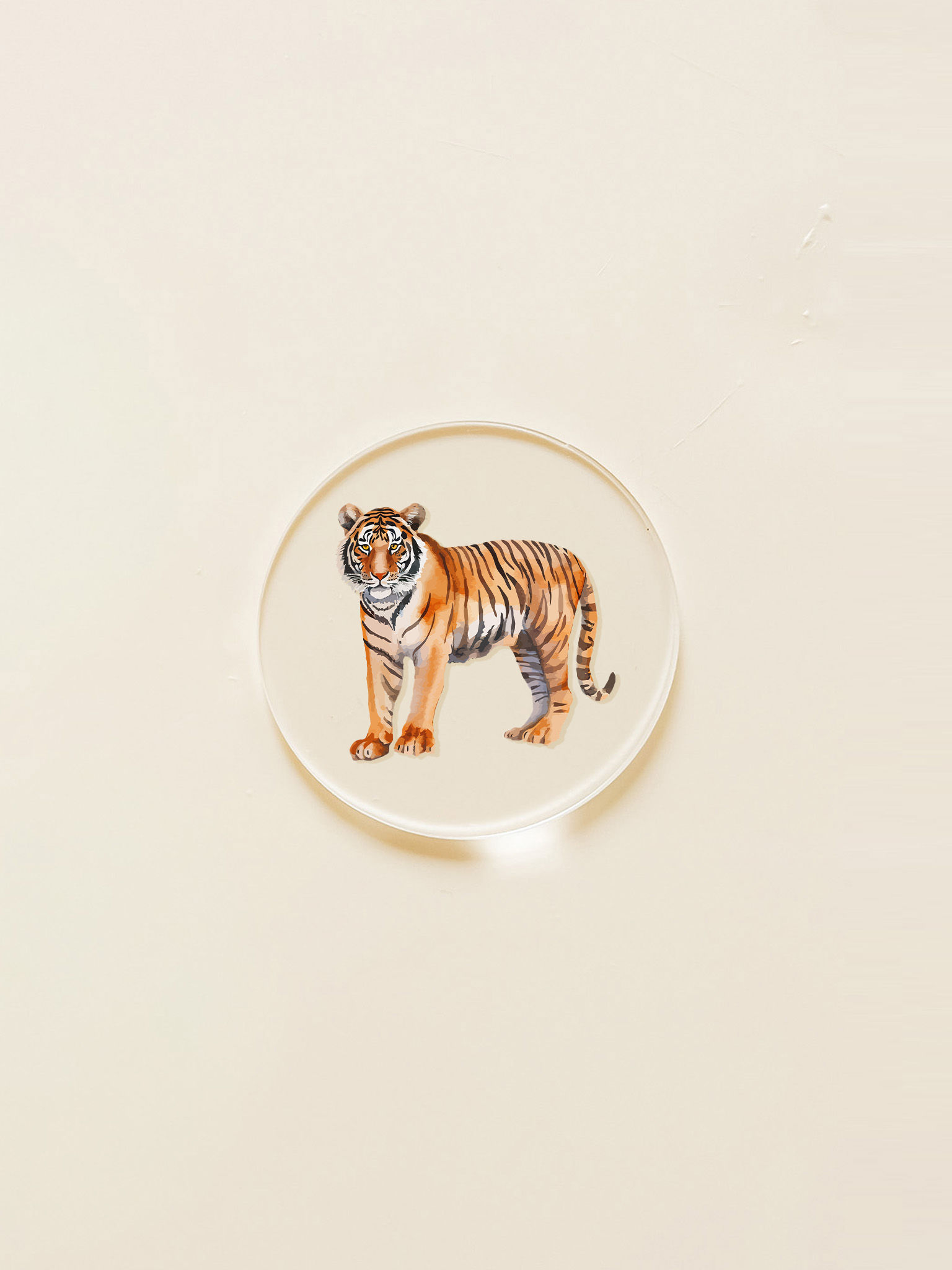 Tiger Disc