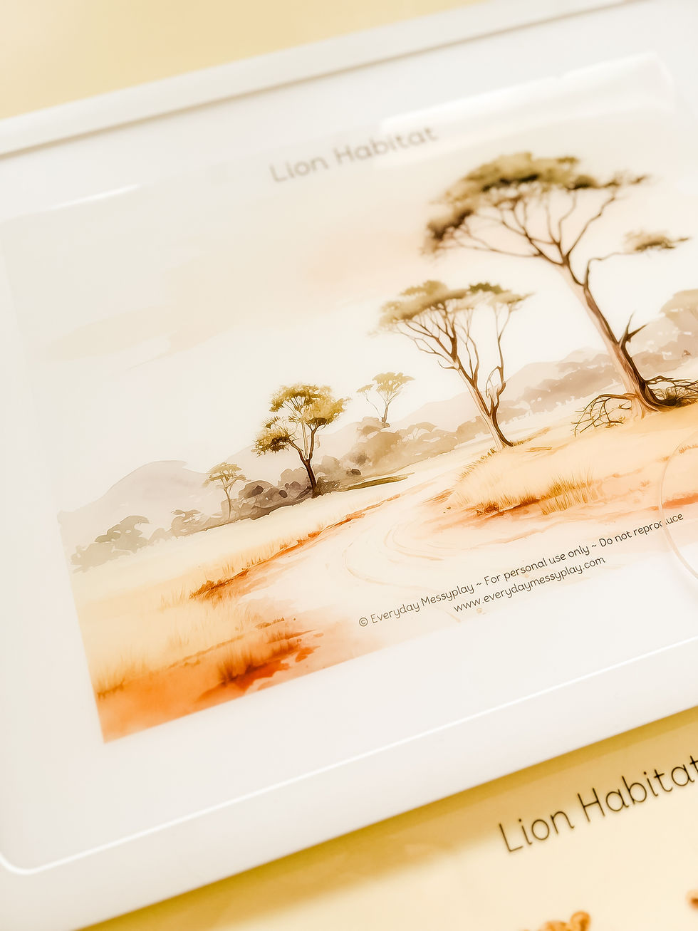 Thumbnail: Fiver Friday - Lion Habitat Light Box Kit