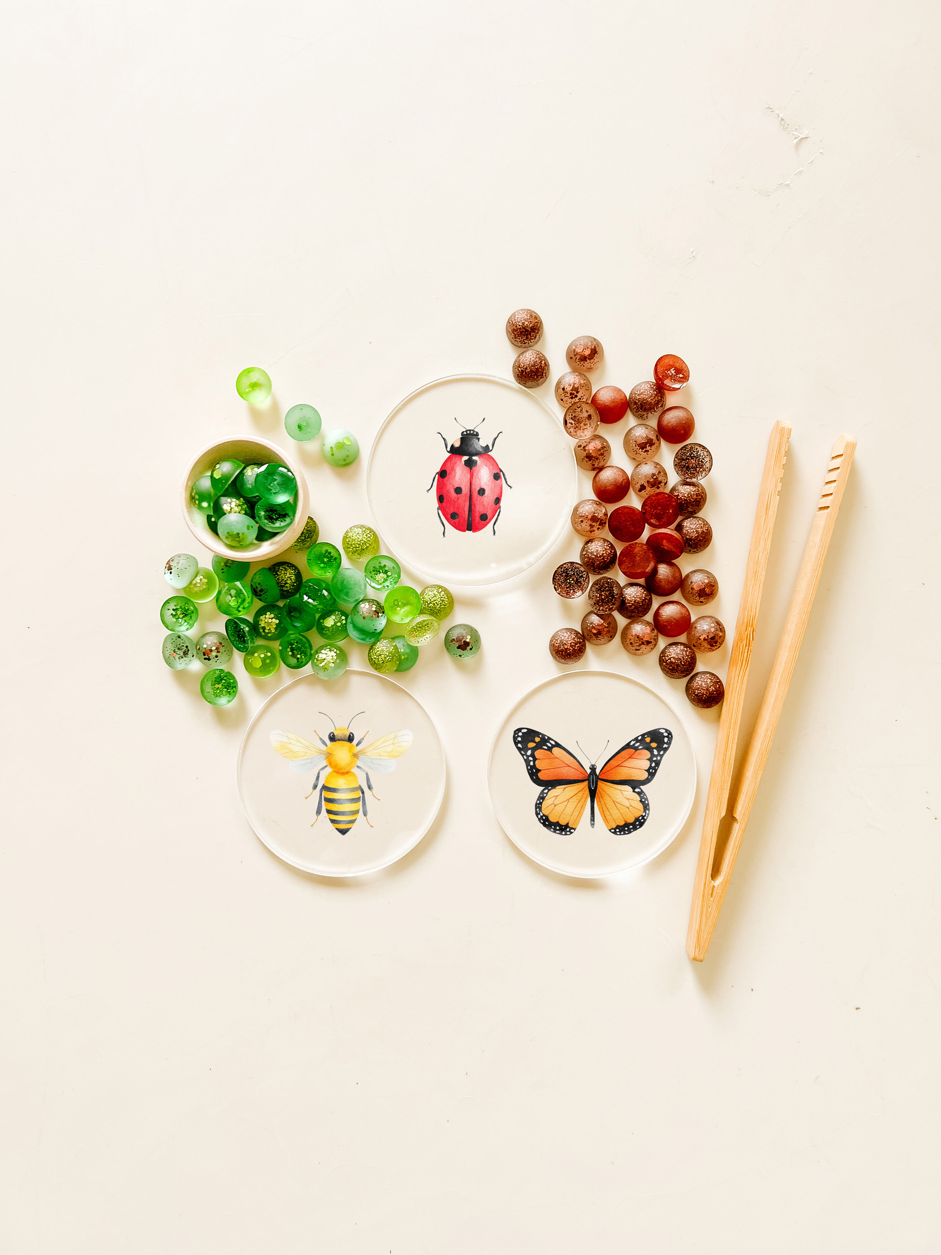 Fiver Friday Garden Bugs  - Set of 3 Learning Disc