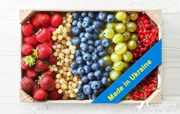 Berries from Ukraine. The best source! Beeld: ©Agravery / Agravery.com