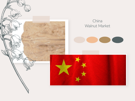 Market of the walnut in China: five determining factors.