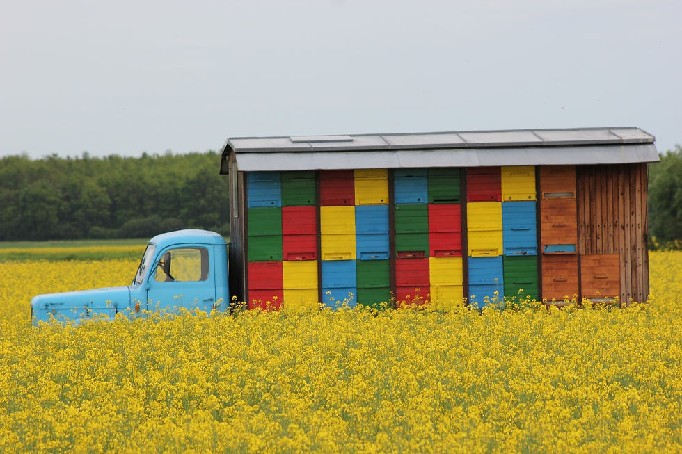 Truck hives