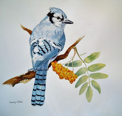 2026-Carolyn-Stone-Fee-Fee-Watercolour