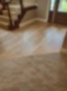 Flooring transitions