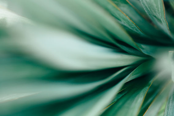 Kinesiology Counselling Mentalhealth Neurofeedback Naturopathy Maylands Perth