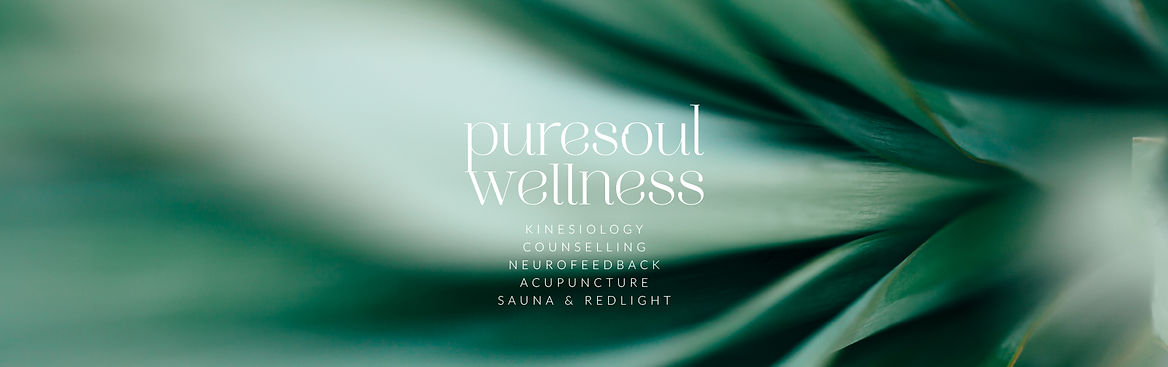 PSW - web banner 3-100.jpg