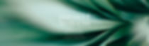 PSW - web banner 3-100.jpg