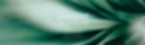 PSW - web banner 3-100.jpg