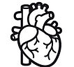 heart.jpg