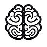 Neurofeedback Kinesiology Mental Health Counselling Maylands Perth Wellness Clinic
