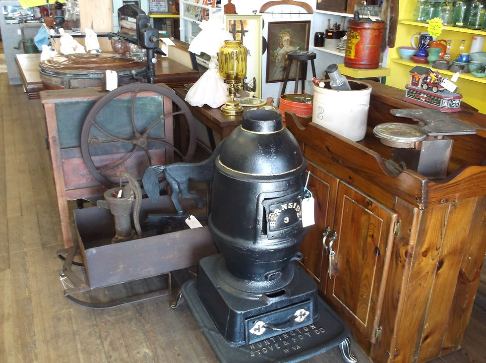 tasha PICTURES 024.JPG