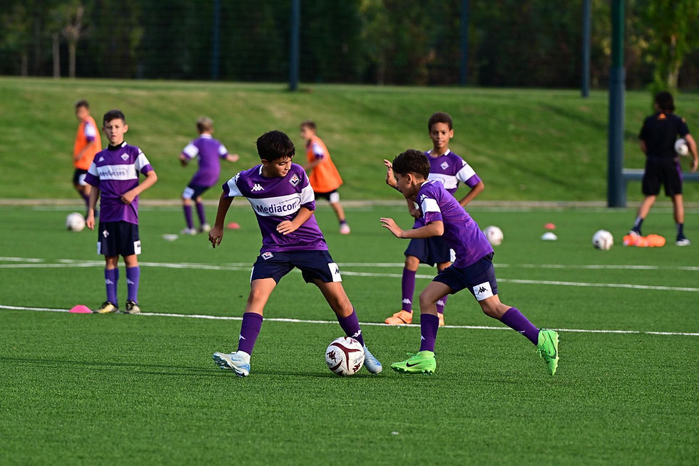 Fiorentina f.c.