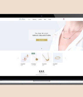 Laptop With Website