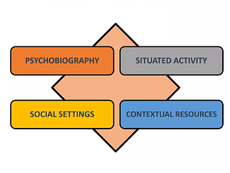 social domain.PNG