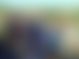 Renato Brandão realiza visita na associação da horta comunitária no João Paulo II