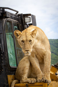 Ngorongoro Crater, Tanzania