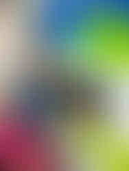 A woman is straddling the border of both countries