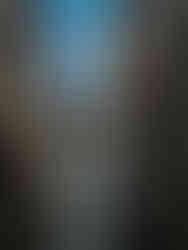 Pont del Bisbe with a Catalan flag