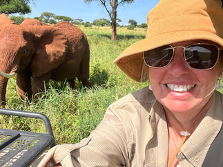 Elephant selfies at Tarangire 