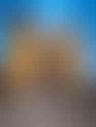 The author at main church in Guanajuato City is the Basílica Colegiata de Nuestra Señora de Guanajuato