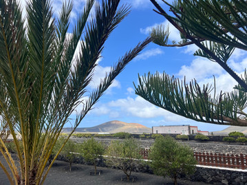 Winery Bermejos against a blue sky