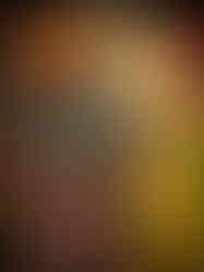 An assortment of fruit at La Boqueria