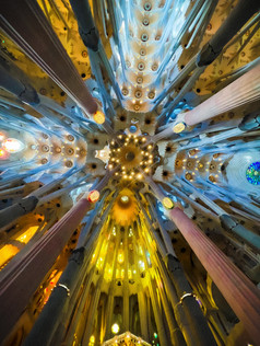 Looking up at the ceiling of Sagrada Familia