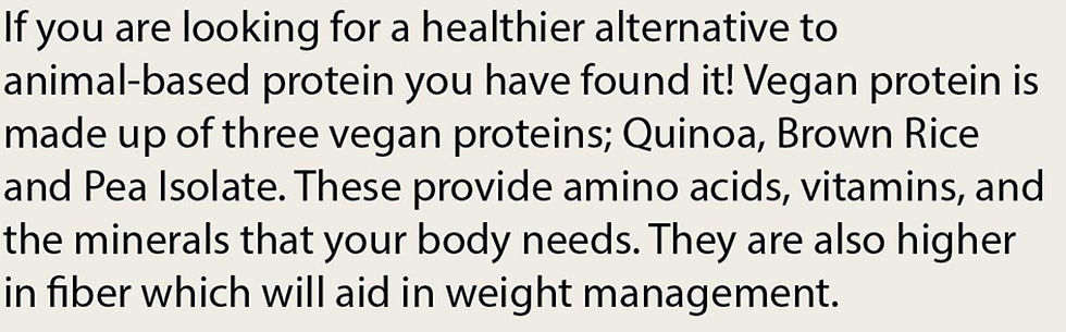 Thumbnail: Pure Plant Protein Chocolate