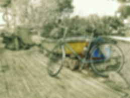 bike vocal b&w-01.jpeg