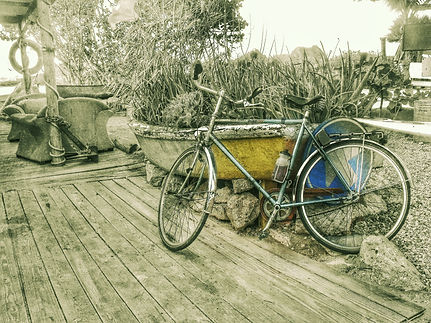bike vocal b&w-01.jpeg