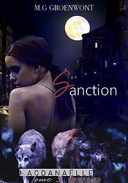 Nouvelle couverture sanction.jpg
