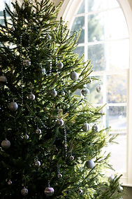 Warwick House Christmas season weddings