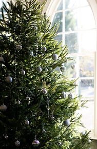 Warwick House Christmas season weddings