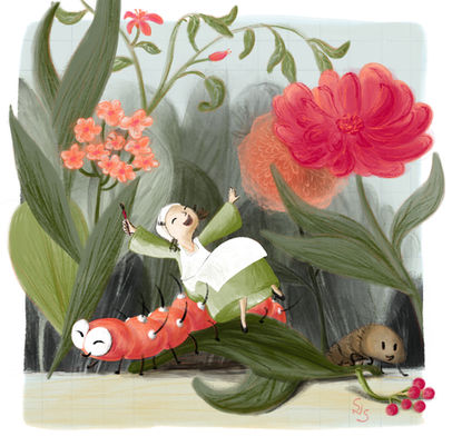 Maria S Merian