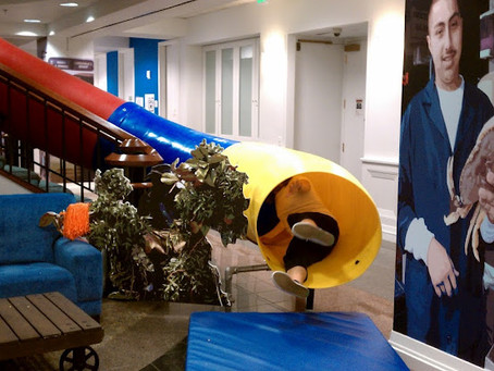 7 Offices/Houses with a Slide