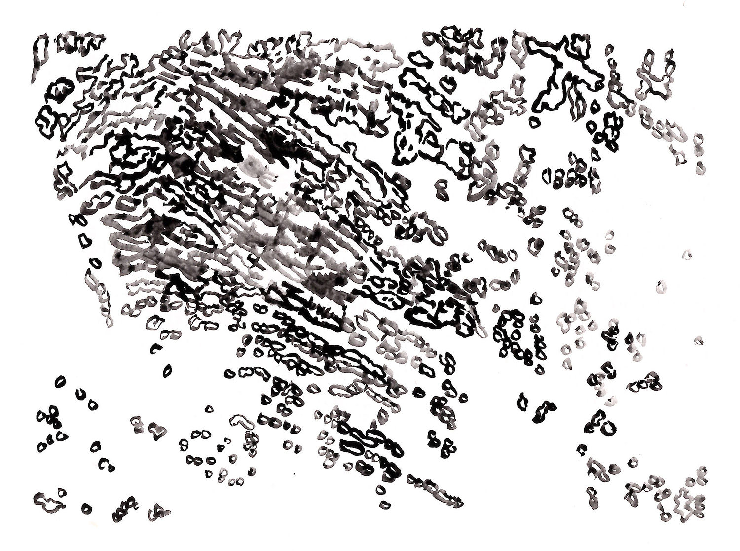 Water Reflections IV