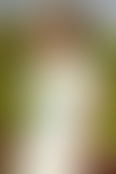 Bright and beautiful - check out our new Yellow Poppies range!