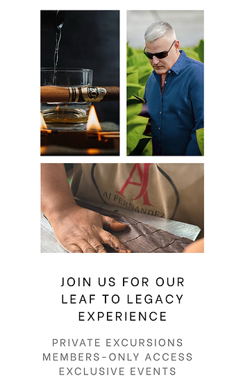 Leaf to legacy phone interface.png