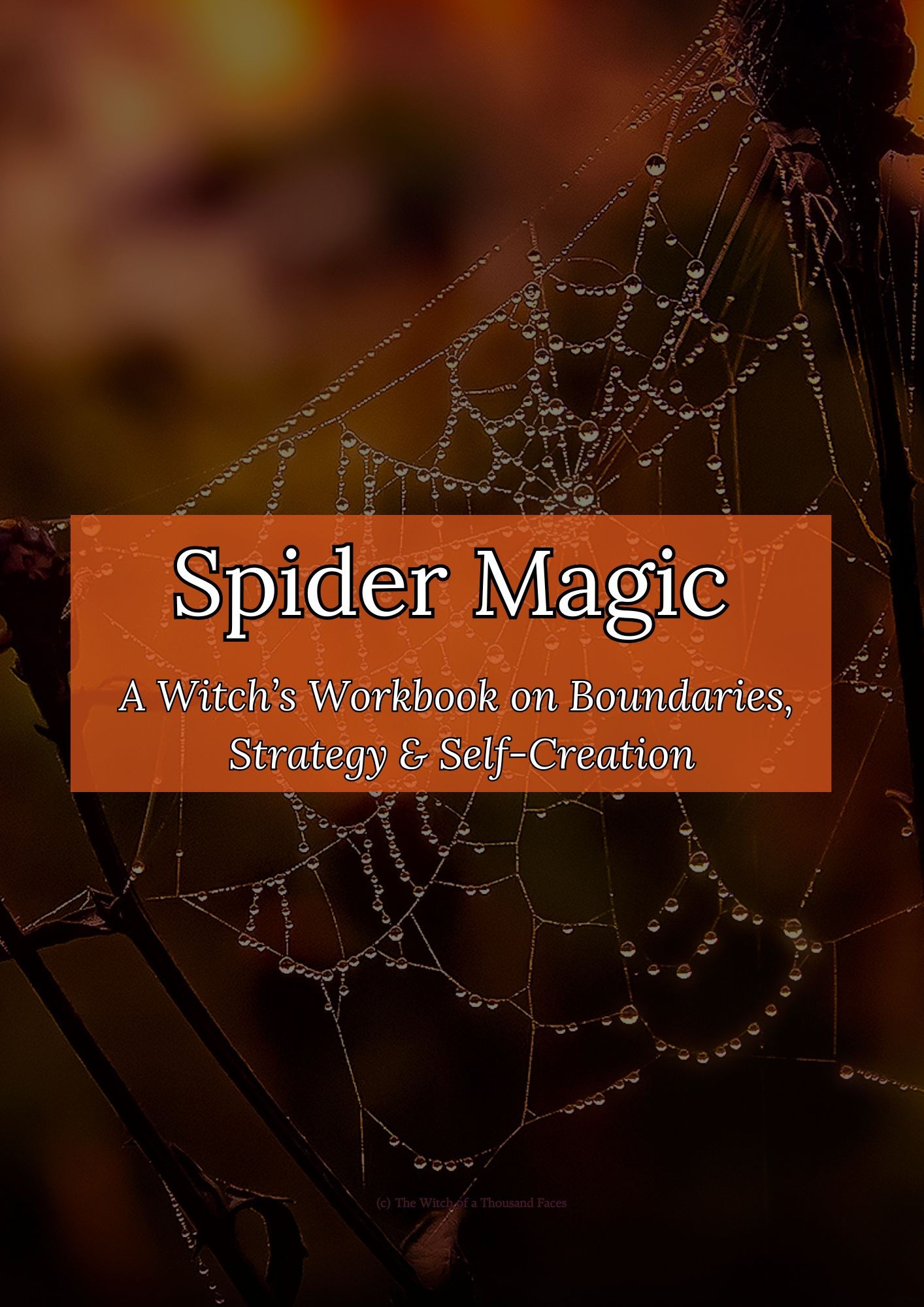 Spider Magic